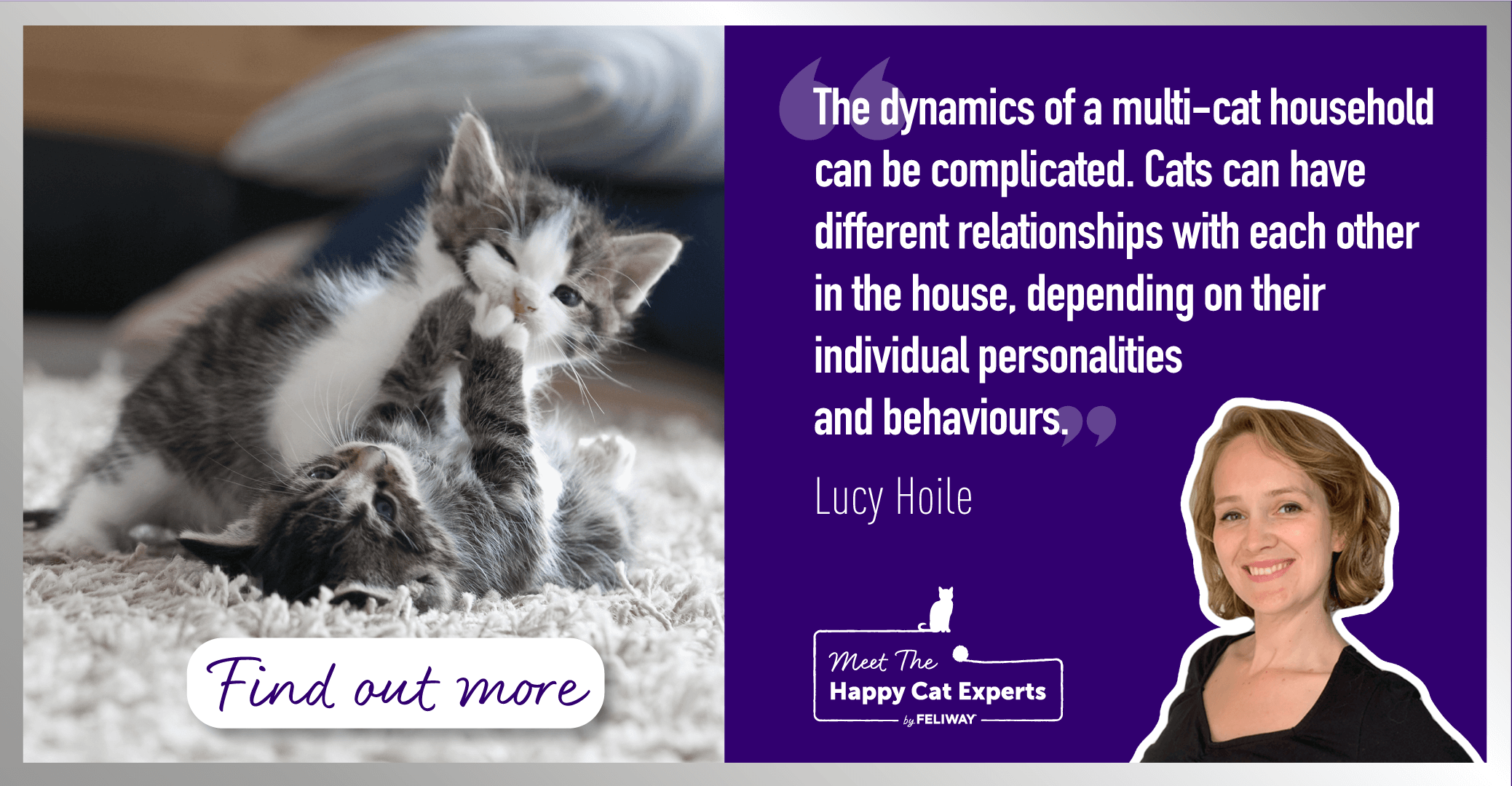 Are my Cats Playing or Fighting? How can you Tell?