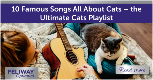 Happy woman playing the guitar with her cat sat on her lap. 