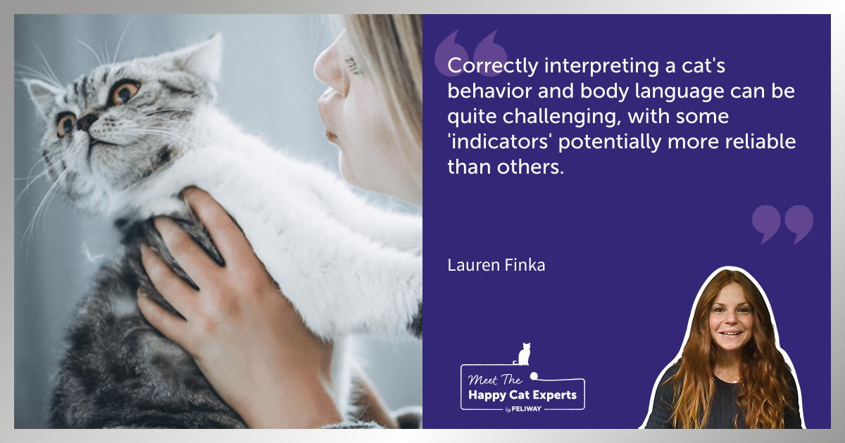 Signs of Stress and Discomfort in Cats