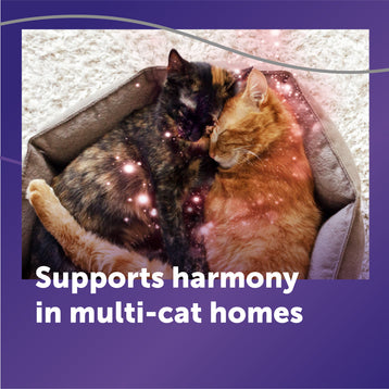 FELIWAY® Optimum Refill