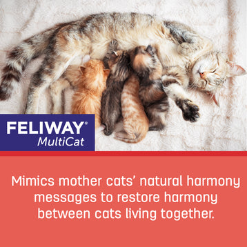 FELIWAY® Multicat Diffuser Kit